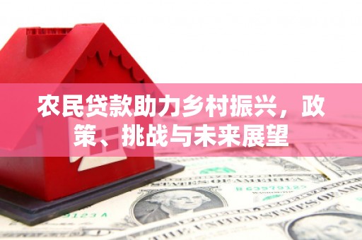南丹农民贷款助力乡村振兴，政策、挑战与未来展望
