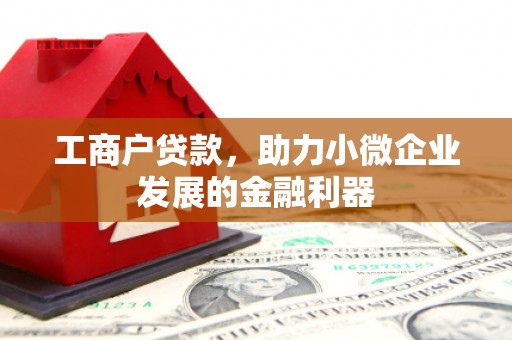 南丹工商户贷款，助力小微企业发展的金融利器