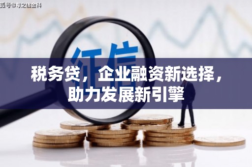南丹税务贷，企业融资新选择，助力发展新引擎