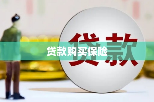 南丹贷款购买保险