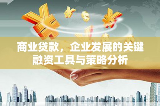 南丹商业贷款，企业发展的关键融资工具与策略分析
