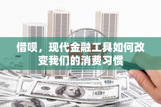 南丹借呗，现代金融工具如何改变我们的消费习惯