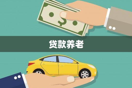 南丹贷款养老
