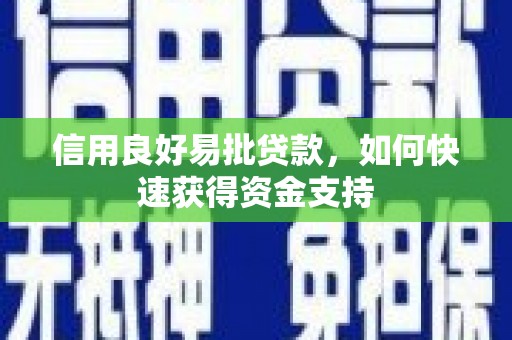 南丹信用良好易批贷款，如何快速获得资金支持
