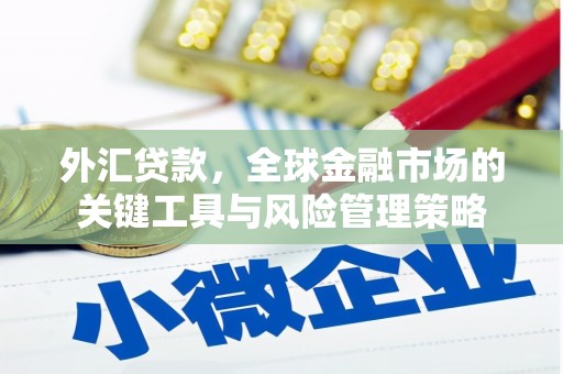 南丹外汇贷款，全球金融市场的关键工具与风险管理策略