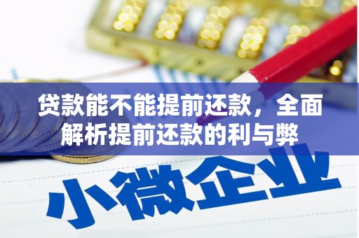 南丹贷款能不能提前还款，全面解析提前还款的利与弊