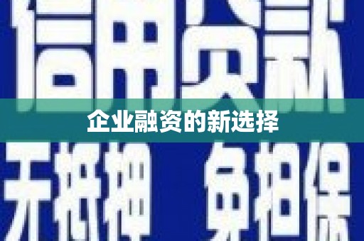 南丹企业融资的新选择