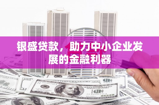 南丹银盛贷款，助力中小企业发展的金融利器