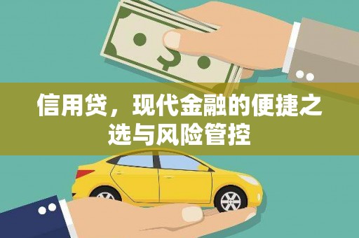 南丹信用贷，现代金融的便捷之选与风险管控