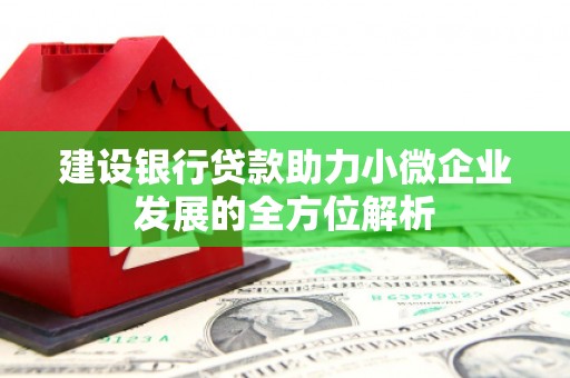 南丹建设银行贷款助力小微企业发展的全方位解析
