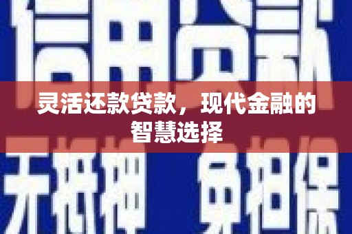 南丹灵活还款贷款，现代金融的智慧选择