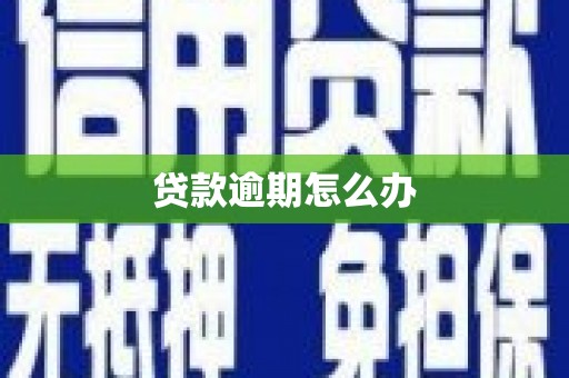 南丹贷款逾期怎么办