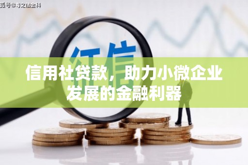 南丹信用社贷款，助力小微企业发展的金融利器