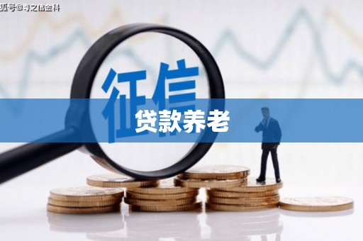南丹贷款养老