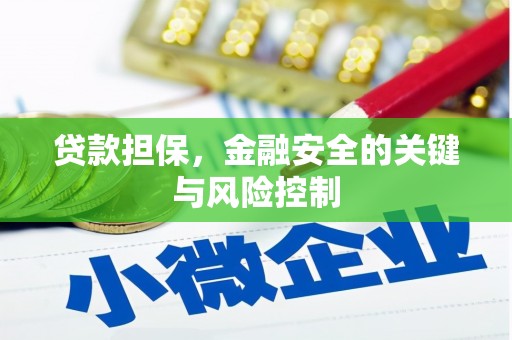 南丹贷款担保，金融安全的关键与风险控制