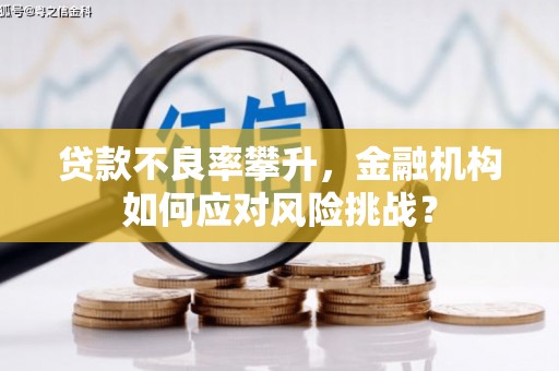 南丹贷款不良率攀升，金融机构如何应对风险挑战？