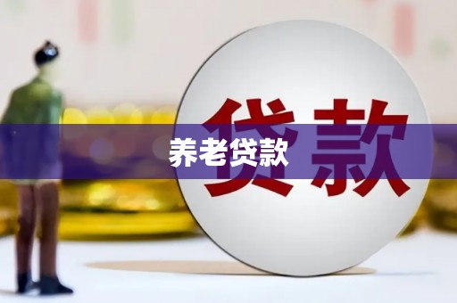 南丹养老贷款