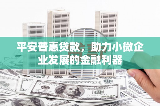 南丹平安普惠贷款，助力小微企业发展的金融利器