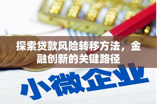 南丹探索贷款风险转移方法，金融创新的关键路径