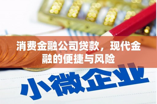 南丹消费金融公司贷款，现代金融的便捷与风险