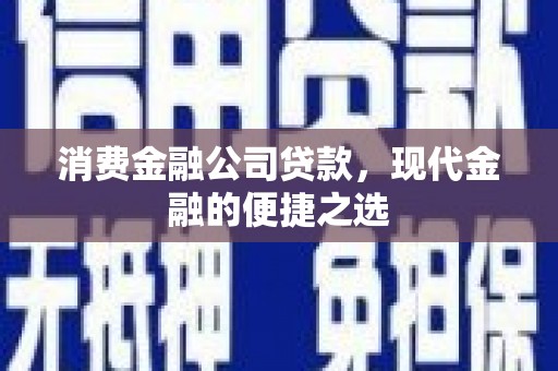 南丹消费金融公司贷款，现代金融的便捷之选
