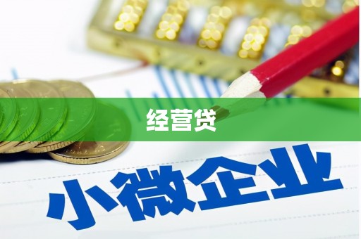 南丹经营贷