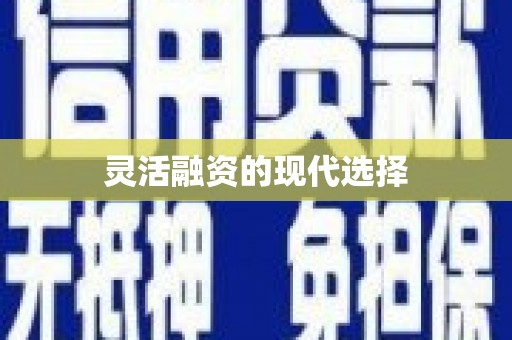 南丹灵活融资的现代选择