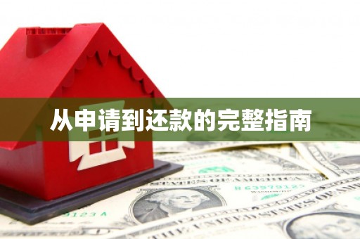 南丹从申请到还款的完整指南
