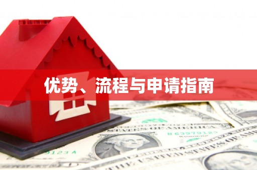南丹优势、流程与申请指南