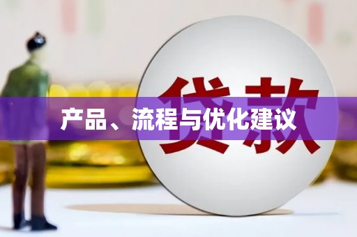 南丹产品、流程与优化建议