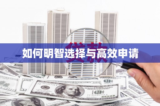 南丹如何明智选择与高效申请