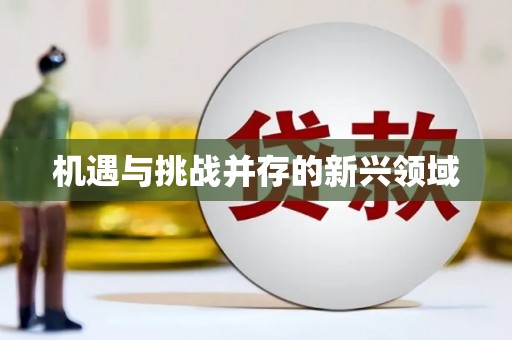 南丹机遇与挑战并存的新兴领域