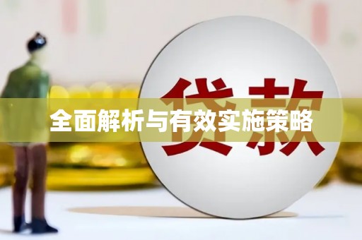 南丹全面解析与有效实施策略