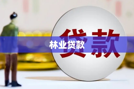 南丹林业贷款