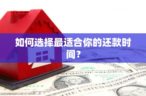 南丹如何选择最适合你的还款时间？