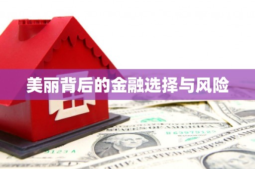 南丹美丽背后的金融选择与风险