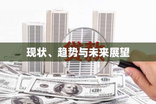 南丹现状、趋势与未来展望