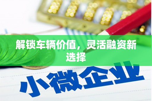 南丹解锁车辆价值，灵活融资新选择
