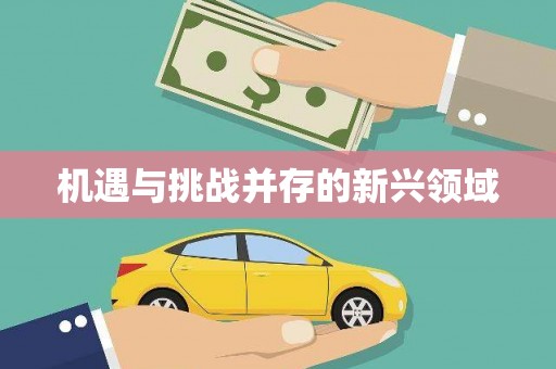 南丹机遇与挑战并存的新兴领域