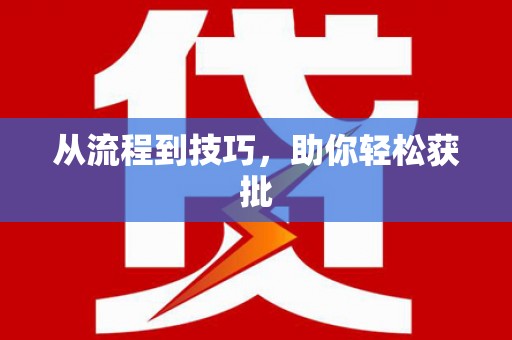 南丹从流程到技巧，助你轻松获批