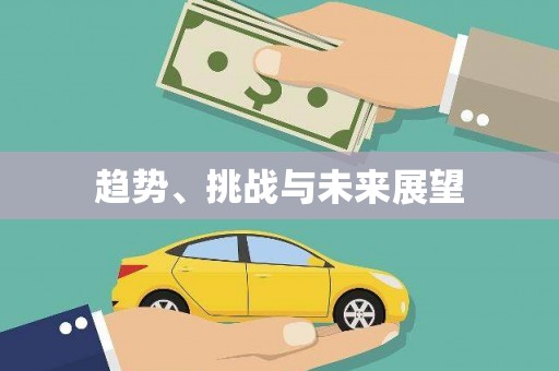 南丹趋势、挑战与未来展望