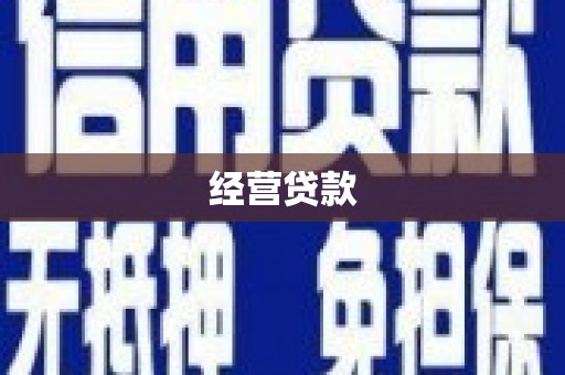 南丹经营贷款