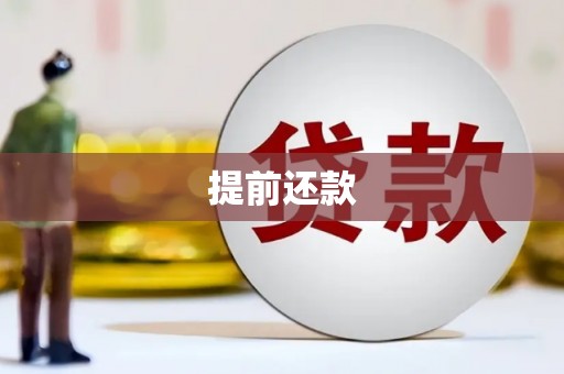 南丹提前还款