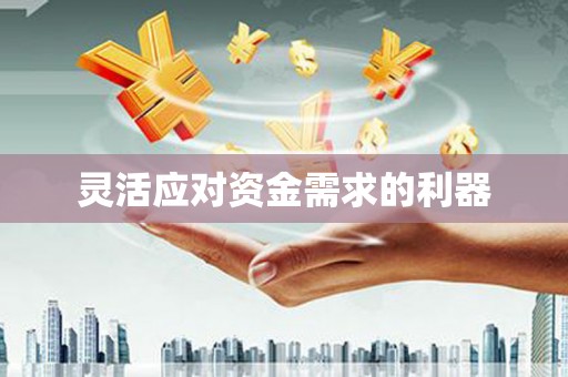 南丹灵活应对资金需求的利器