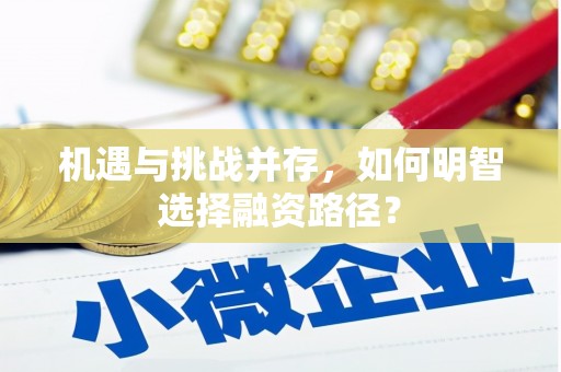 南丹机遇与挑战并存，如何明智选择融资路径？