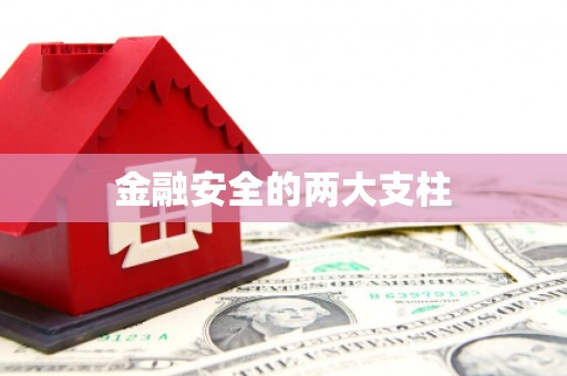南丹金融安全的两大支柱