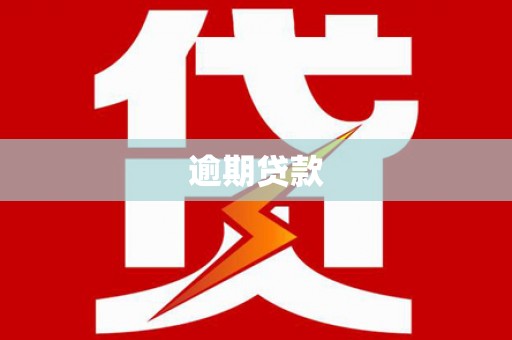 南丹逾期贷款