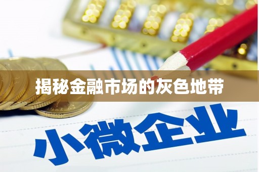 南丹揭秘金融市场的灰色地带