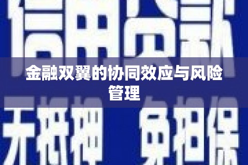 南丹金融双翼的协同效应与风险管理