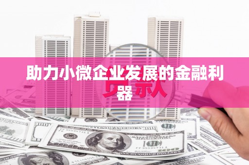 南丹助力小微企业发展的金融利器